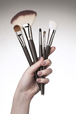 Makeup Brushes