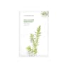 Tea Tree