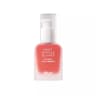 05 Peach Coral